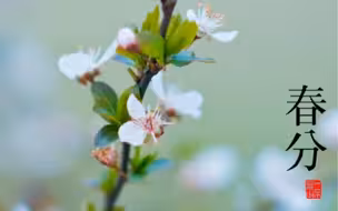 今日 #春分 春分至万物苏 #万物复苏春意盎然 #美在山水春色间