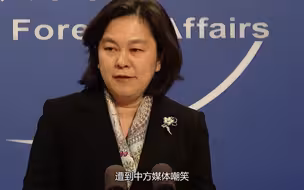 华春莹霸气回应：为了维护国家尊严，就做“战狼”又何妨？