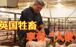 西方人道主义的真相（上）：英国为家畜摇旗呐喊，呼吁中国别吃肉