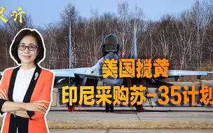 被迫采购西方战机？美国搅黄印尼与俄罗斯苏35的采购计划