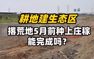 追踪侵占耕地投诉｜四川双流：耕地建生态区，撂荒地5月前种上庄稼能完成吗？