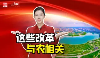 三农锐评丨这些改革与农相关