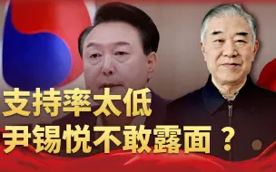 支持率再创新低，关键时刻尹锡悦掉链子，给在野党送来“助攻”