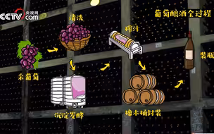 【非常中国】造一瓶顶级国产葡萄酒 拢共分几步
