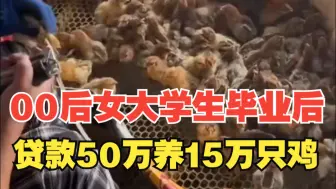 00后女大学生毕业后养15万只鸡，贷款50万元，每天的鸡饲料要2万元
