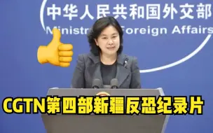 外交部点赞CGTN第四部新疆反恐纪录片