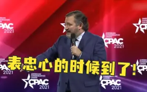 有望2024年参选总统 这位议员抓紧机会向特朗普“表忠心”