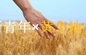 【这YOUNG新农人】“麦”向丰收，强农有我，从学农人到新农人，看农博士如何将论文写在祖国大地上
