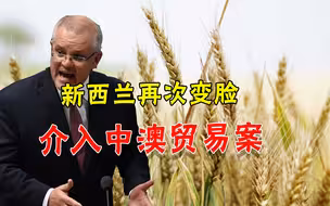 刚和澳总理见完面，新西兰要介入WTO中澳贸易案？商务部正面回应
