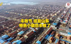 不一样的丰收节！山东这些宝藏小镇也收获满满！#丰收连连看 #全国广电新媒体集结发光