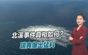 北溪事件真相如何？瑞典爆出猛料：有水下无人机才能炸毁管道