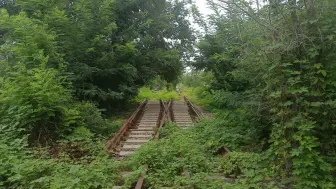 建在河中间的车站——探访李港铁路李七庄站