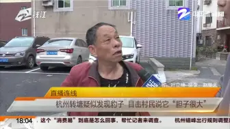 直播连线：杭州转塘疑似发现豹子  目击村民说它“胆子很大”