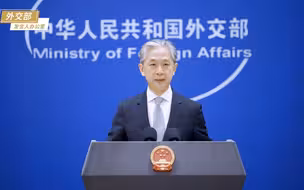 美国导演的所谓“民主大片”从来不是世界的福音，而是动荡的祸根