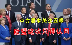 反击五眼联盟！中方推动关注窃听网络，这次欧盟站上同一战线