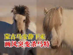 蒙古马安静时画风突变杀马特，网友：右眼用来记住你，左眼用来忘记你