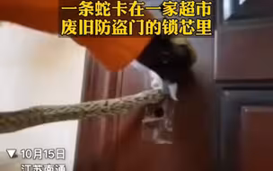 吓得不轻！防盗门锁里拽出一条蛇