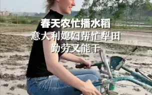 春天农忙准备播水稻，中国小伙的意大利媳妇来帮忙