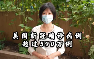 美国的新冠确诊病例超过590万例