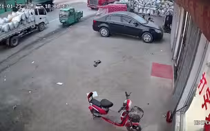 监控曝光！猫咪横穿马路乱窜 撞门后再猛撞电瓶车倒地身亡