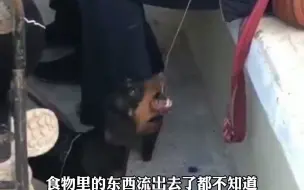 打麻将不能太专心，随时都要注意周围“敌情”，不然一不小心东西就没了！呜呜呜~
