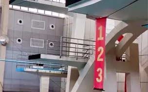 10岁男孩跳水几乎无水花走红，网友夸赞他为“未来冠军”，教练回应亮了！