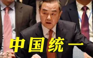 王毅：任何试图阻挡中国统一大业的行径都必将被历史车轮碾碎