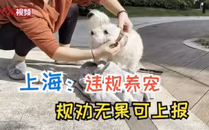 上海：物业要劝违规养宠行为 劝阻无效可上报