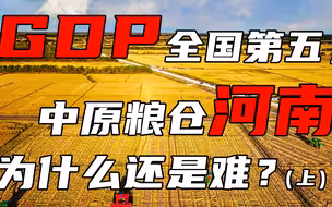 【卢克说】GDP全国第五，中原粮仓河南为什么还是难？（上）