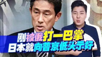 刚被俄打一巴掌，日本还得向普京低头示好，没想到美国横插一脚