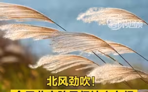 北风劲吹！今日北京阵风仍达六七级