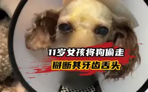 11岁女孩掰断狗牙齿舌头的背后，是一个生而不养的悲剧