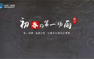 初春的第一场雨