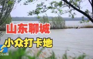 诗画山东｜水清鱼跃，野芳遍地，位山灌区的春天很“惊艳”