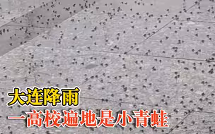 大连降雨一高校遍地是小青蛙，学生：大家都从旁边的小路绕行