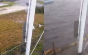 飓风“艾达”袭击美国：暴雨狂浇海边撞船 监拍街道1小时变汪洋