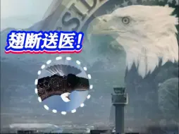 确立