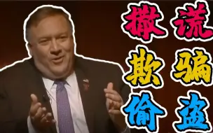 蓬佩奥的大实话：我们撒谎 欺骗 偷盗