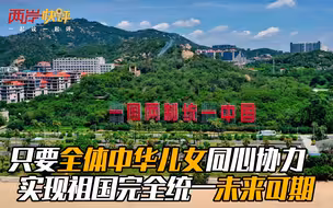 只要全体中华儿女同心协力 实现祖国完全统一未来可期