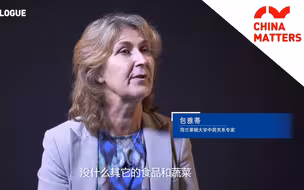荷兰专家力主将中国纳入高中课程：欧洲还活在上世纪，新时代要学习中国