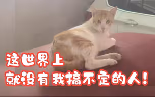 喵咪教你征服一个男人只需要三天～足够了！