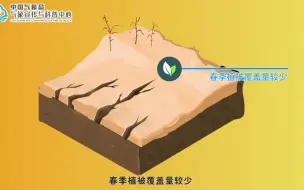 漫微丨沙尘来袭，这些应对措施要学会