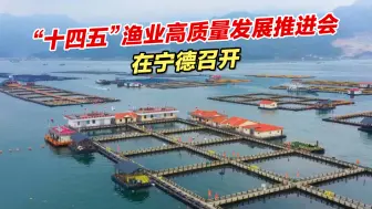 “十四五”渔业高质量发展推进会在宁德召开，与会代表走访下岐村