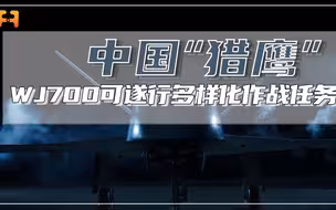 又轻又强！WJ700采用多项先进技术，可遂行多样化作战任务！