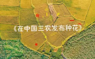 “挖呀挖”特别版丨在中国三农发布种花