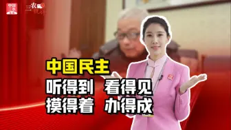 三农锐评丨中国民主：听得到、看得见、摸得着、办得成