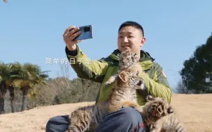 这是你想要的简单日子，也是我想要的美好生活