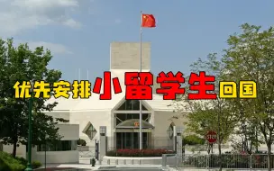 中国驻美大使馆：优先安排小留学生乘机回国