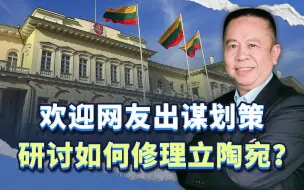 立陶宛又跳出来反华了，欢迎网友出谋划策，研讨如何修理立陶宛？