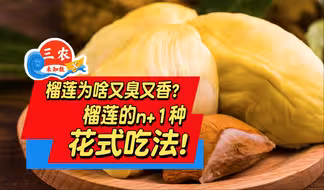三农未知数丨榴莲为啥又臭又香？榴莲的n+1种花式吃法！